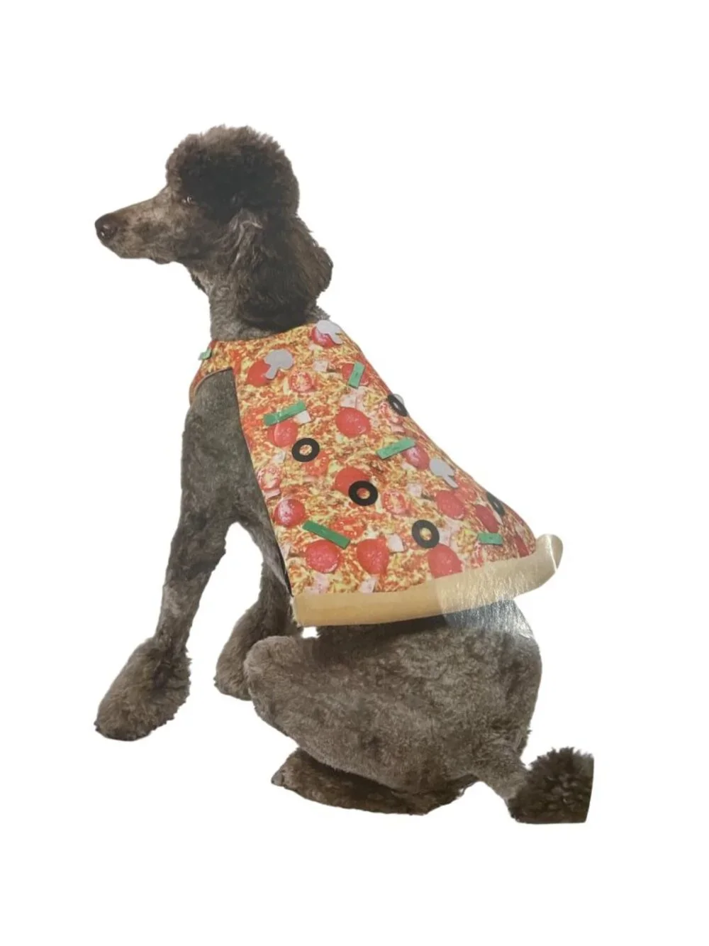 Dog Halloween Pizza Costume Sz Medium Slice w Pepperoni Olives Cheese Adjustable